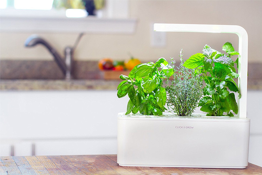 click-amp-grow-smart-herb-garden--presentation