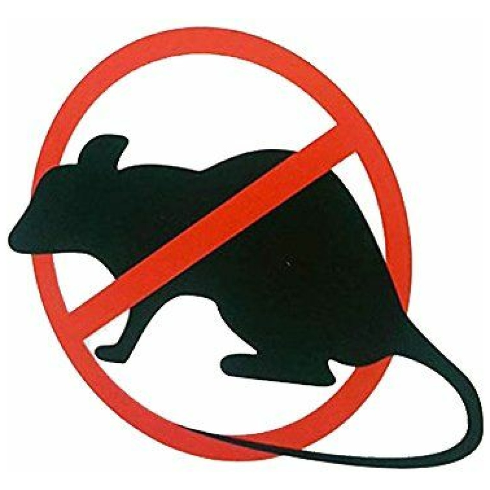 Meilleure Mort au rat