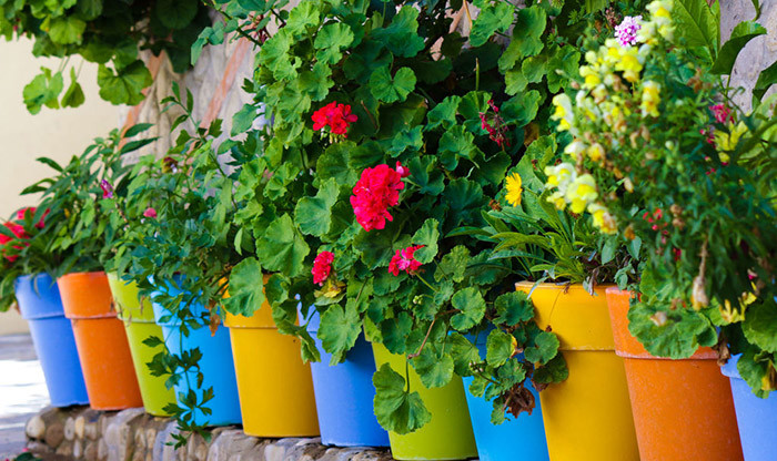 En plastique de qualité supérieure . SEEBAUER garden® Soucoupe Karsten Idéal pour toutes les jardinières de balcon et de fleurs anthracite, 40 cm 