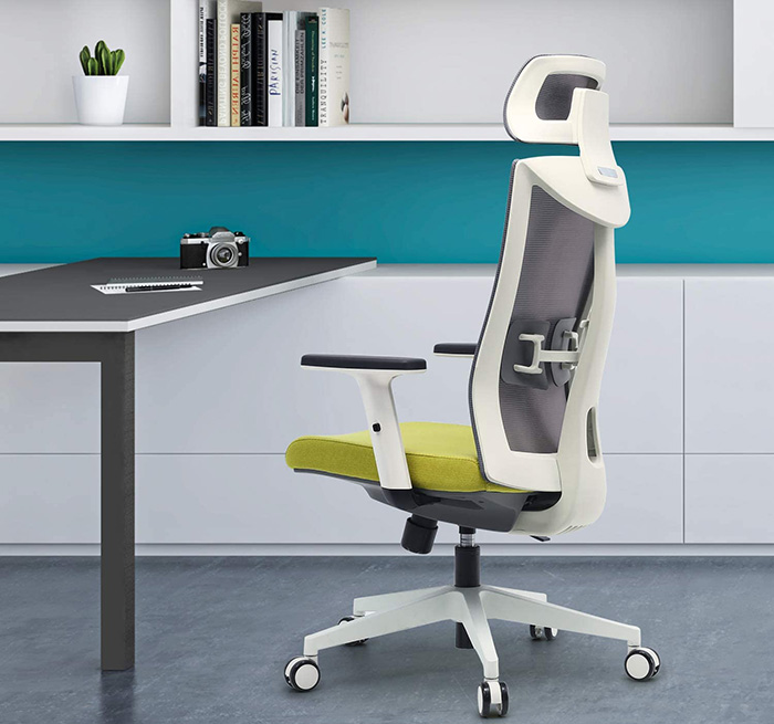 test-amazon-brand--umi-chaise-de-bureau-ergonomique